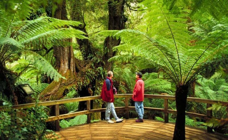 Melbourne: Great Ocean Road, Penguin Parade & Free City Tour - Day 3: Discover Melbourne’s Cultural Heart