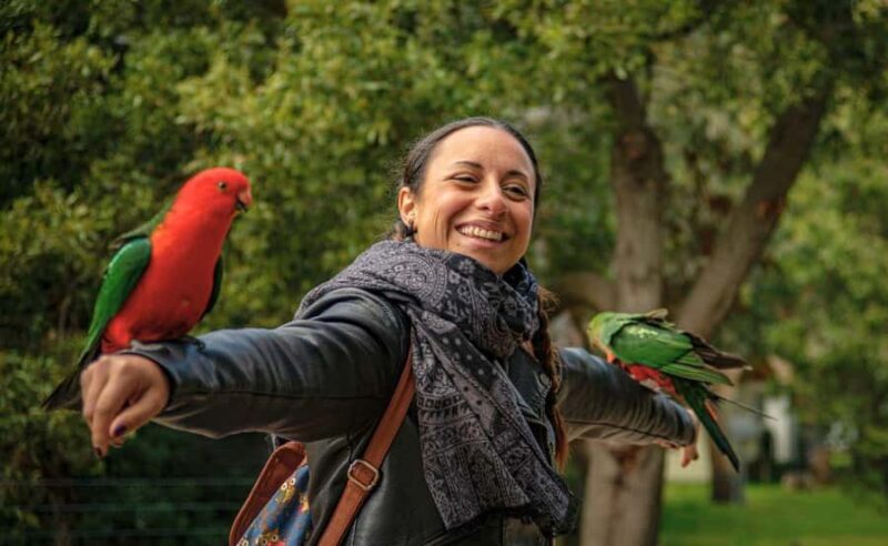 Melbourne: Great Ocean Road, Penguin Parade & Free City Tour - Overall Value and Experience