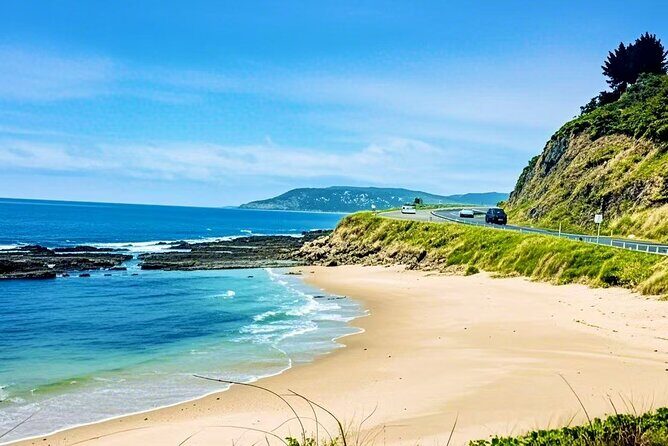 Melbourne Great Ocean Road Reverse Tour + London Bridge wildlife - An In-Depth Look at the Tour Itinerary