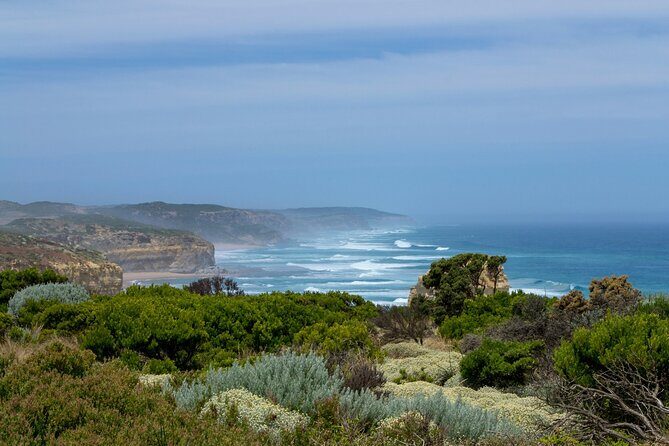 Melbourne: Great Ocean Road Tour with Maxi Highlights in One Day - Frequently Asked Questions