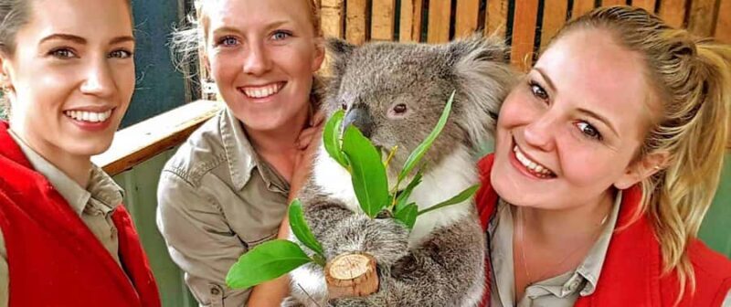 Melbourne Highlights & Aussie Wildlife Express Tour - Value and Who This Tour Is For