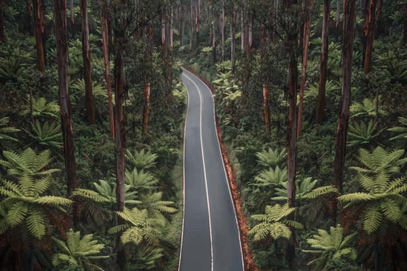 Melbourne: Lake Mountain Snow Day and Waterfalls & Chocolate - Is This Tour Right for You?
