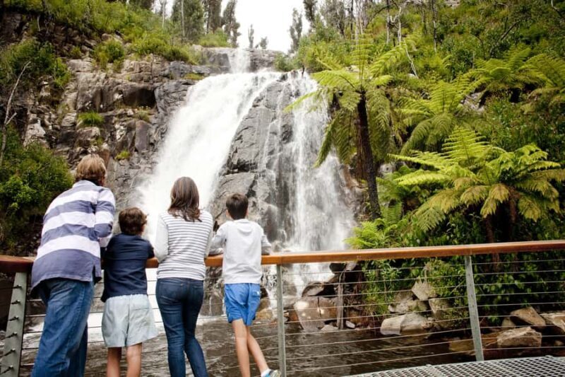 Melbourne: Lake Mountain Snow & Waterfalls Guided Tour - Authenticity and Real Traveler Feedback
