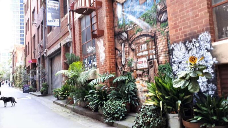 Melbourne Laneways Tour - Authentic Stories and Hidden Gems