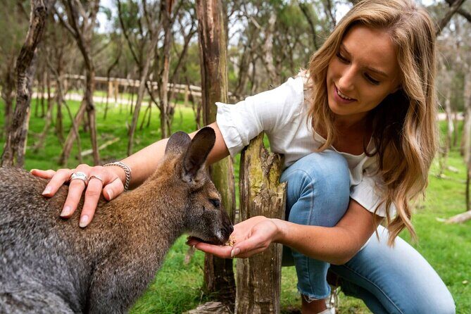 Melbourne Like a Local, Private & Personalized Experience (3 hrs) - FAQ