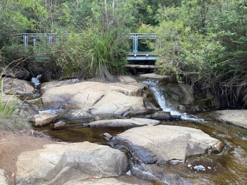 Melbourne: Marysville Day Trip with Healesville Sanctuary - Who Should Consider This Tour?