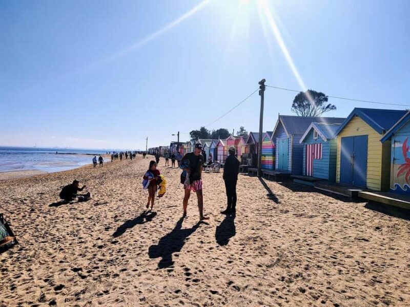 Melbourne: Moonlit Sanctuary and Brighton Beach Boxes Tour - An Overview of the Tour