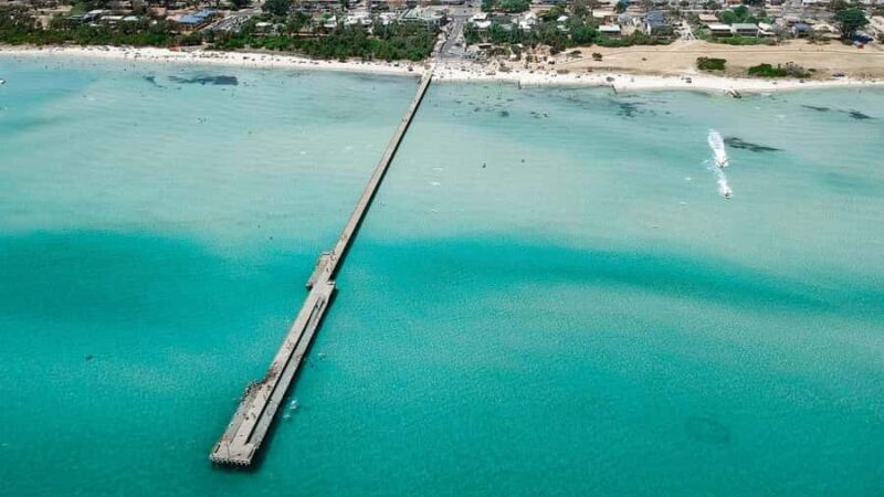 Melbourne: Mornington Peninsula and Moonlit Sanctuary Tour - Key Points