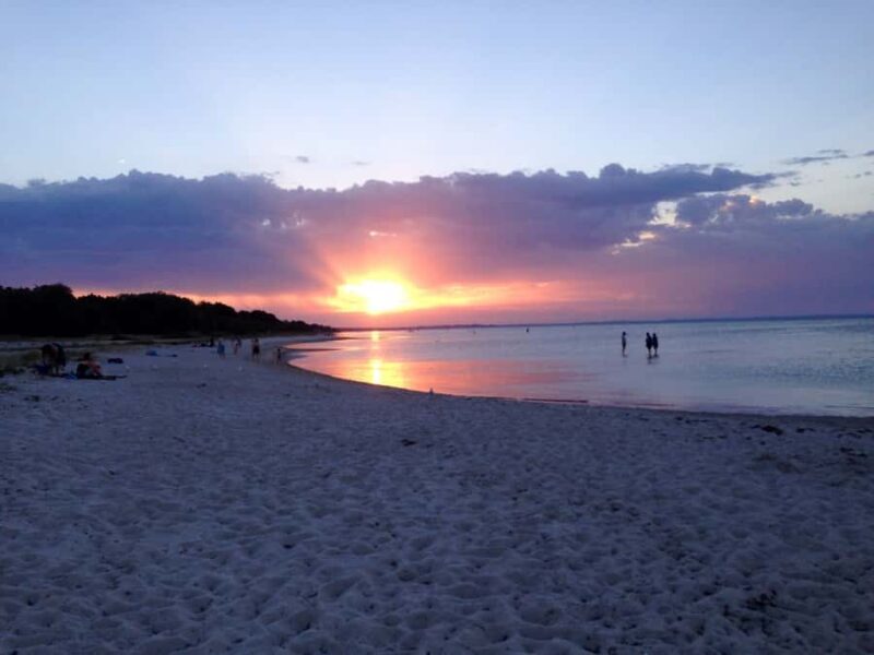 Melbourne: Mornington Peninsula and Moonlit Sanctuary Tour - Authentic Experiences and Traveler Feedback