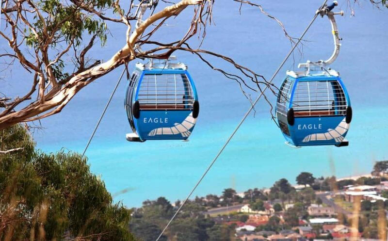 Melbourne: Mornington Peninsula and Moonlit Sanctuary Tour - Final Thoughts