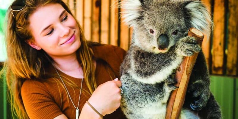 Melbourne: Mornington Peninsula and Moonlit Sanctuary Tour - FAQs