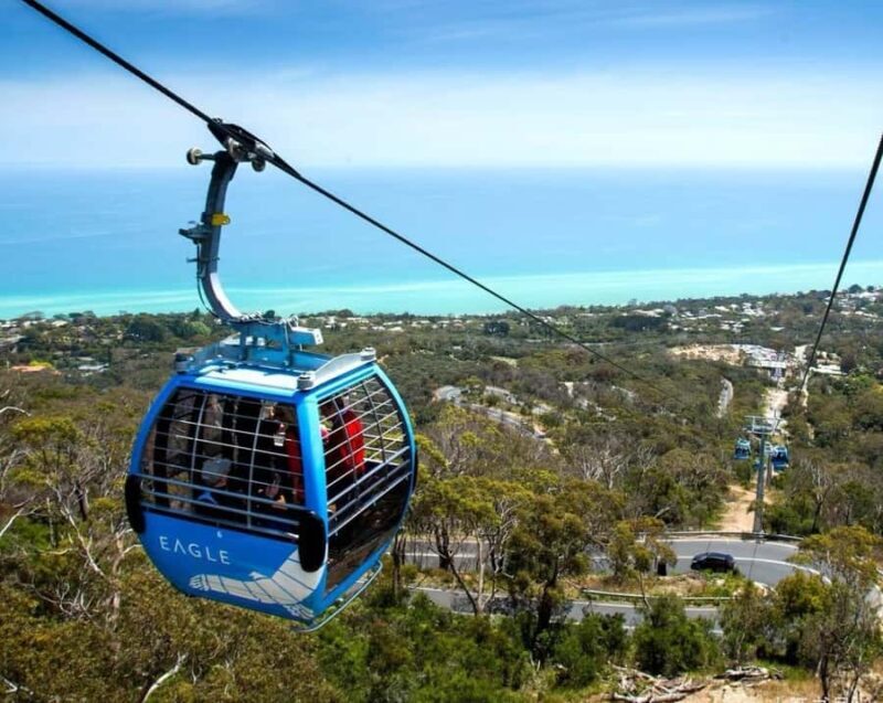 Melbourne: Mornington Peninsula Private Trip include tickets - Starting Point: Brighton’s Iconic Bathing Boxes