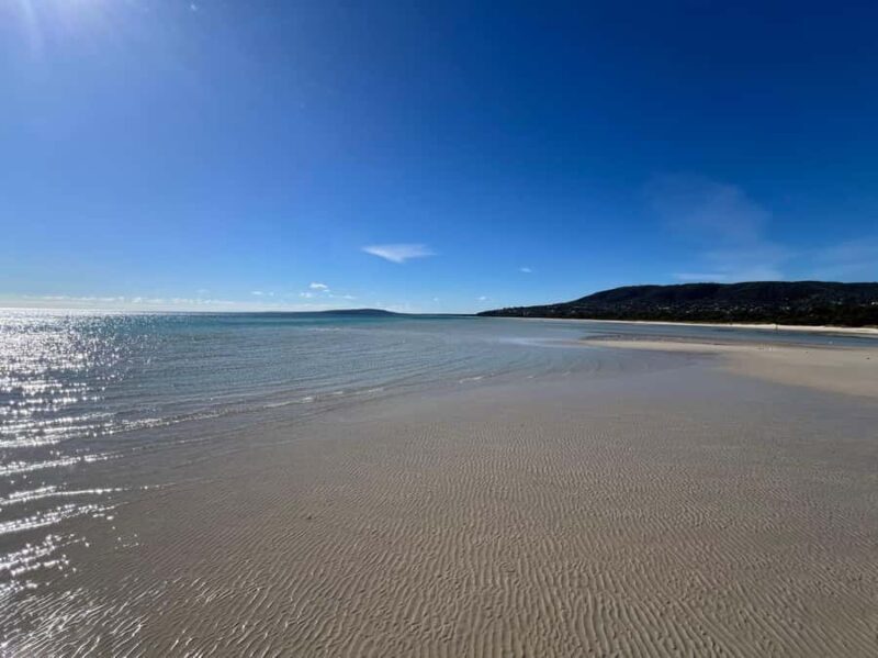 Melbourne: Mornington Peninsula Private Trip include tickets - Arthurs Seat Eagle: Elevating the View