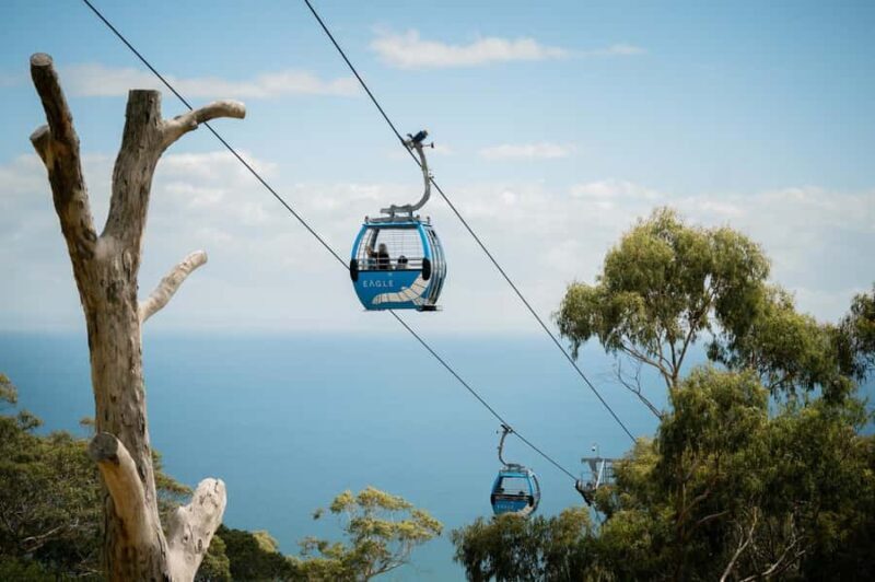 Melbourne: Mornington Peninsula Southern Coast Discovery - Seaside Charm in Sorrento