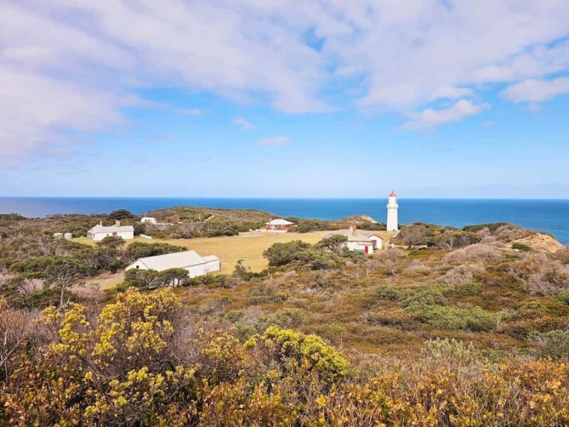 Melbourne: Mornington Peninsula Southern Coast Discovery - Final Thoughts