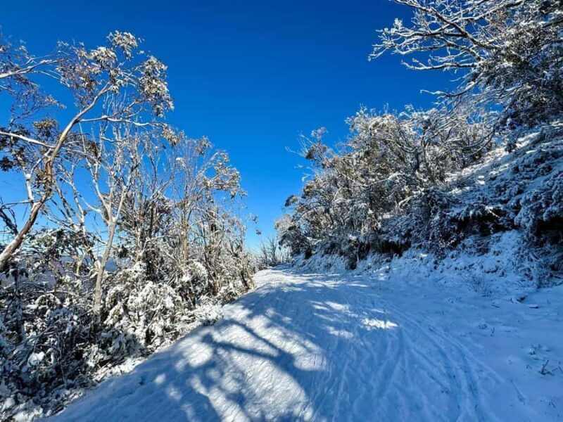 Melbourne: Mount Baw Baw Private Snow Tour with Guide - Introduction to the Tour Experience