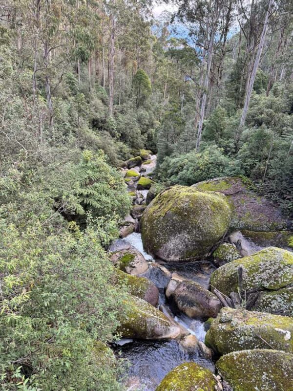 Melbourne: Mount Baw Baw Private Snow Tour with Guide - Practical Details & Value