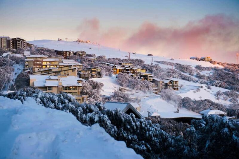 Melbourne: Mt Buller Snowy Escape Trip - 6 Hours of Snow Fun - Key Points