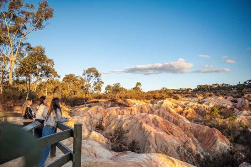 Melbourne: Murray River Paddle Steamer, Wildlife & Silo Art - FAQ