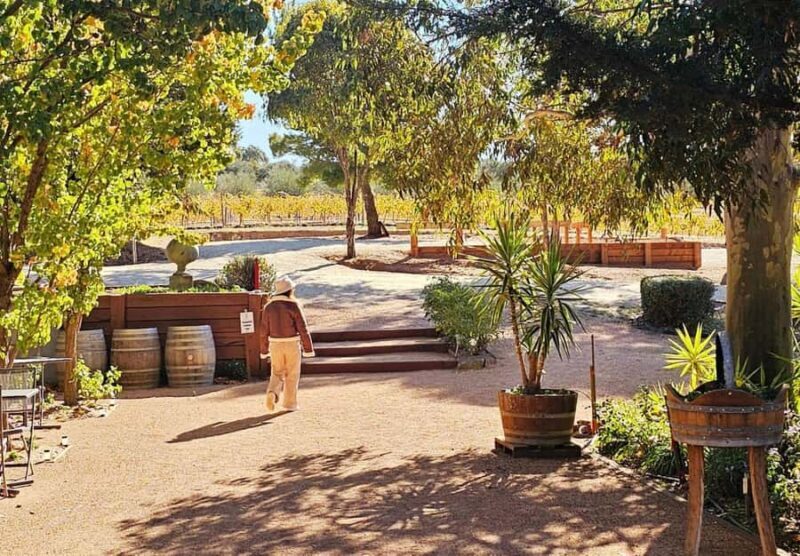 Melbourne: Murray River Paddle Steamer, Wine & Wildlife Tour - The Experience: What You Can Expect