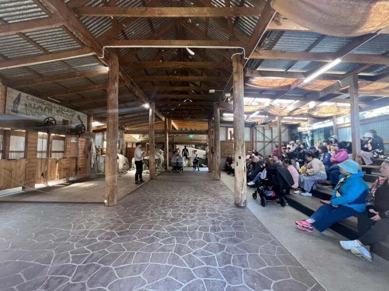 Melbourne: Penguin Parade & Churchill Island Farm Tour - FAQs