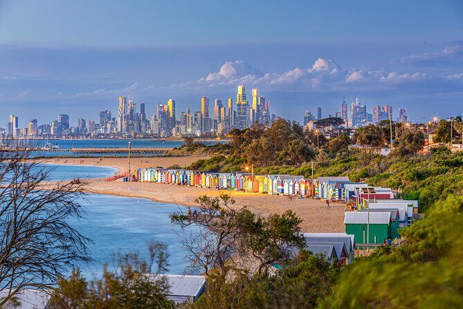 Melbourne: Penguin Parade , Koala & Brighton Bathing Boxes - The Nobbies and Coastal Views