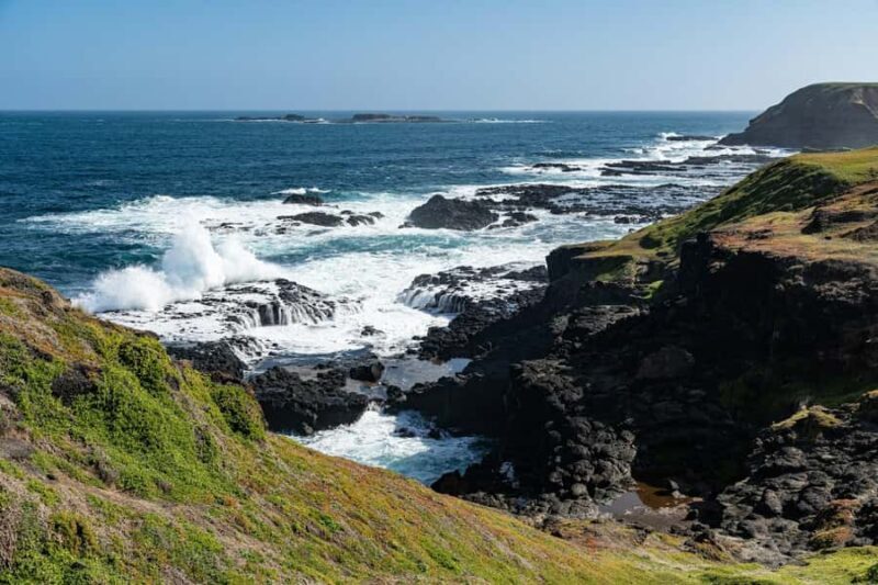 Melbourne: Penguin Parade & Phillip Island Scenic Day Tour - An In-Depth Look at the Phillip Island Day Tour