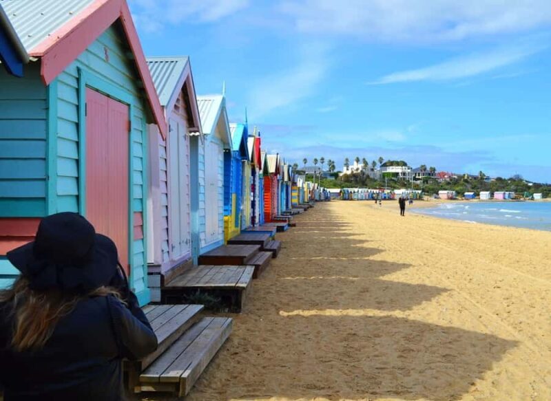 Melbourne: Peninsula Sightseeing Driving Day Tour - What Makes This Tour Stand Out?