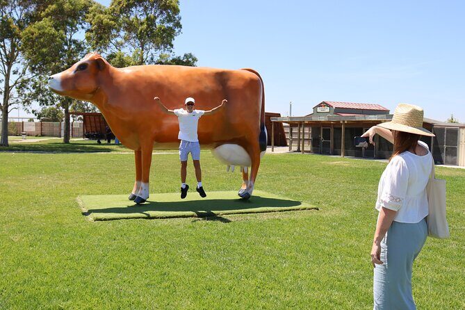 Melbourne Phillip Island 1 Day Tour - A Deep Dive into the Tour Experience