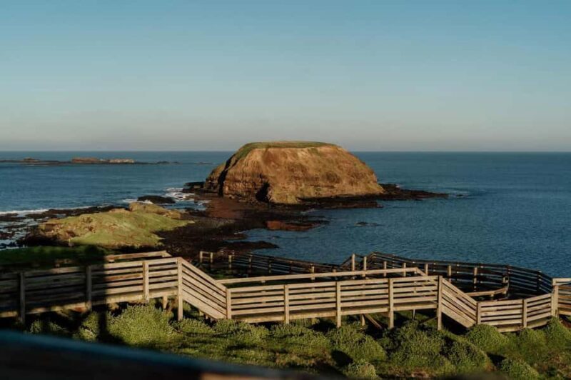 Melbourne: Phillip Island Penguin Parade Watching Day Tour - Analyzing the Value