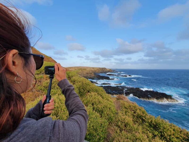 Melbourne: Phillip Island Penguins, Koalas & Hike Tour - Exploring Phillip Island: Penguins, Koalas & Coastal Hikes in a Small Group