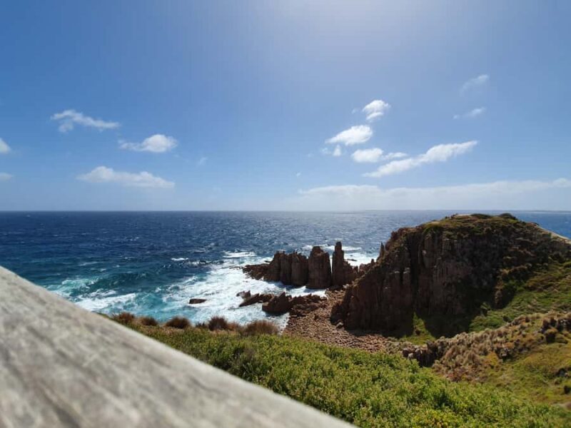 Melbourne: Phillip Island Penguins, Koalas & Hike Tour - Key Points