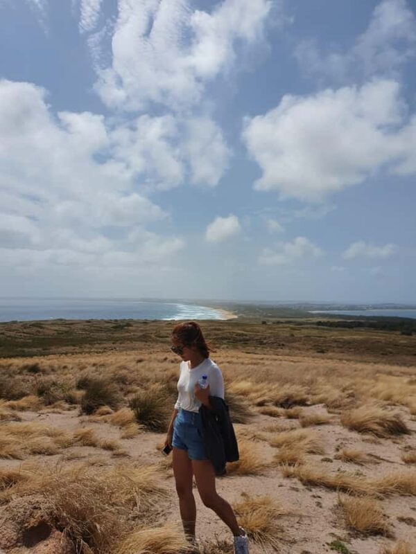 Melbourne: Phillip Island Penguins, Koalas & Hike Tour - Frequently Asked Questions