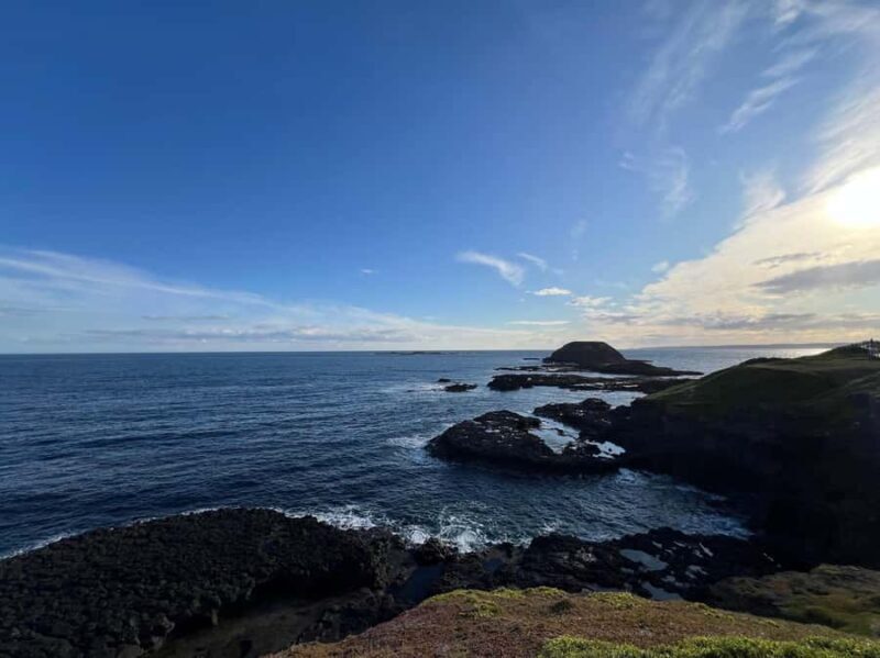 Melbourne: Phillip Island Private Tour, Penguin and Koala - Who Is This Tour Best For?