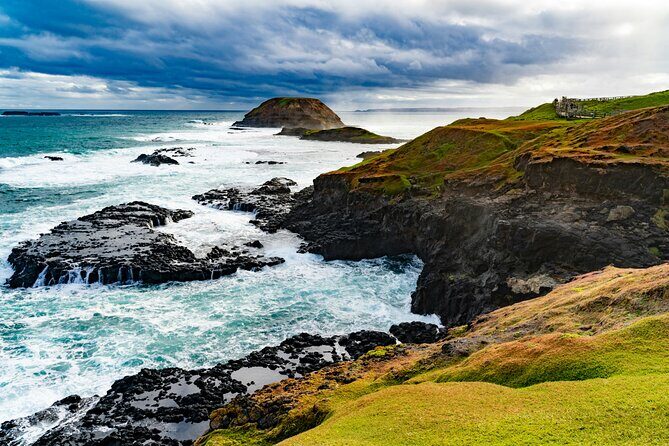 Melbourne Phillip Island Private Tour: Penguin Parade & Wildlife - Key Points