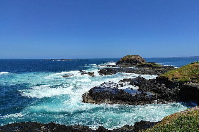 Melbourne Phillip Island Private Tour: Penguin Parade & Wildlife - FAQ