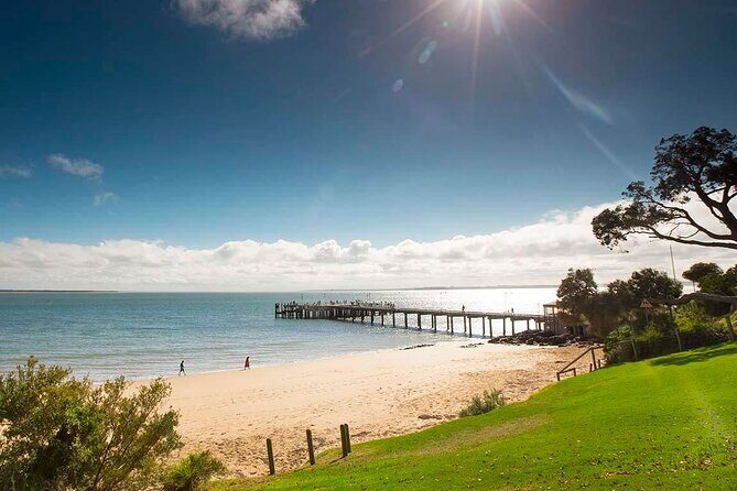 Melbourne Phillip Island Private Tour with Penguin - Who Should Consider This Tour?