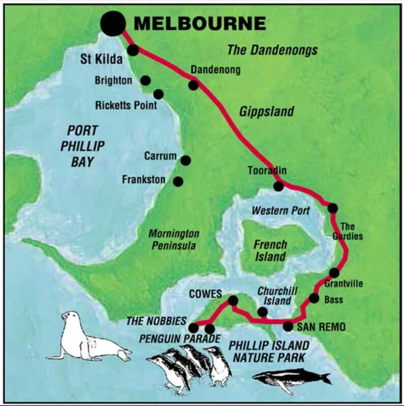 Melbourne: Phillip Island Private Tour with Penguin Parade - Wildlife Encounters at Moonlit Sanctuary or Maru Koala & Animal Park