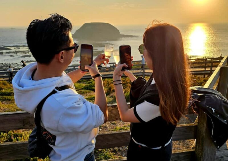 Melbourne: Phillip Island Tour w/ Hop-on Bus or Seal Cruise - An Overview of the Tour Experience