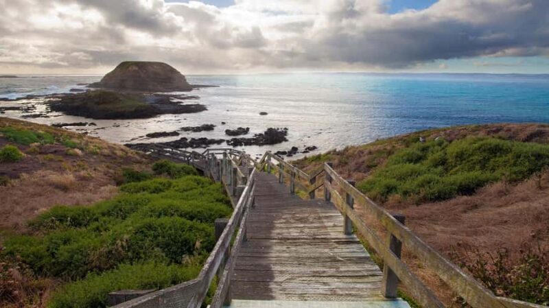 Melbourne: Phillip Island Tour with Koalas & Penguins - An In-Depth Look at the Phillip Island Experience