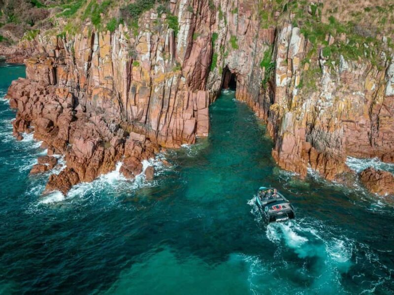 Melbourne: Phillip Island Tour with Koalas & Penguins - Who Should Consider This Tour?