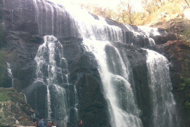 Melbourne: Private Grampian National Park Tours - Key Points