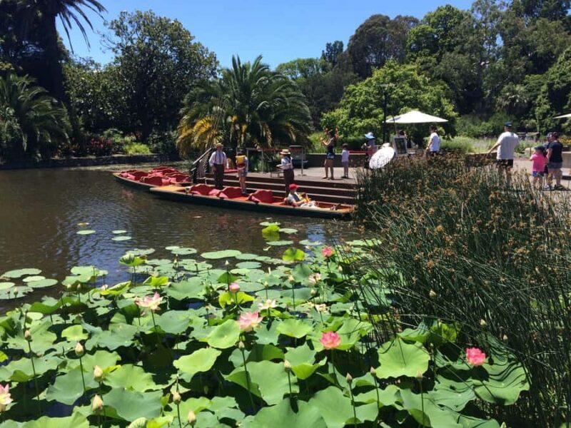 Melbourne Private Guided City Highlights Tour - Authentic Experiences and Local Insights