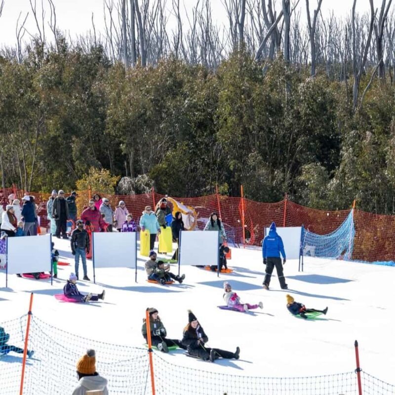Melbourne: Private Lake Mountain Snow & Redwood Forest Tours - Frequently Asked Questions