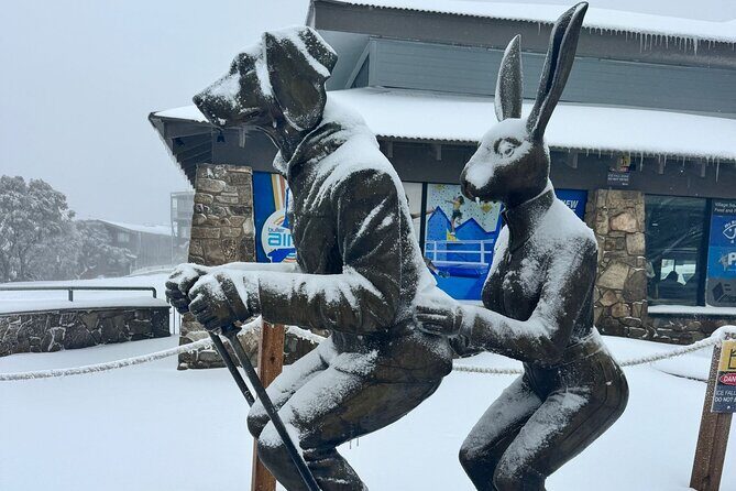 Melbourne: Private Mount Buller Snow and Ski Tours - The Sum Up: Who Should Consider This Tour?