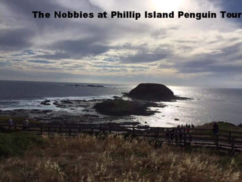 Melbourne: Private Phillip Island Penguin Parade Tour - How We View the Value