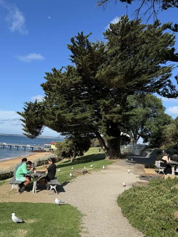 Melbourne: Private Phillip Island Penguin Parade Tours - Practical Details: What You Need to Know