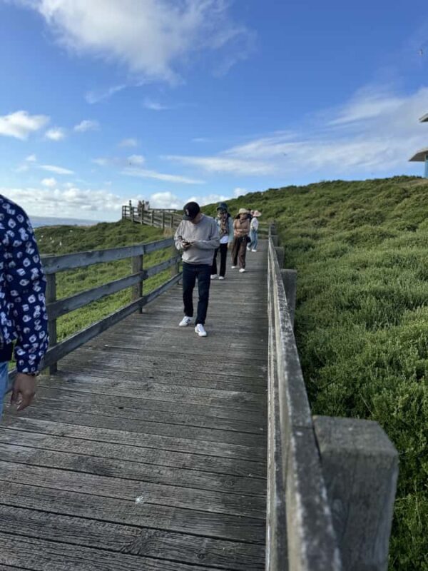 Melbourne: Private Phillip Island Penguin Parade Tours - Authentic Perspectives from Travelers
