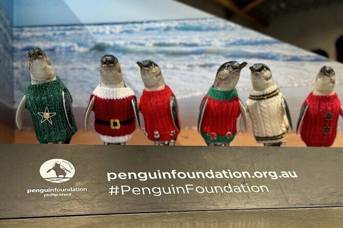 Melbourne: Private Phillip Island Penguin Parade & Wildlife Tours - Discovering Melbourne’s Wildlife and Penguin Parade on a Private Tour