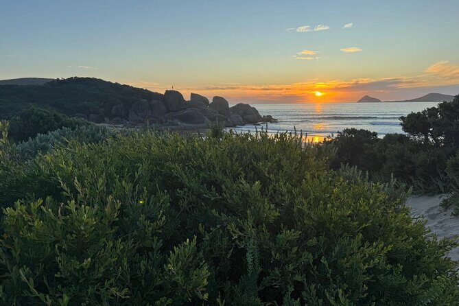 Melbourne: Private Wilson Promontory National Park Day Tours - A Closer Look at the Itinerary and What You’ll Experience